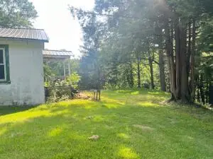 88 Bachman Rd, Fayetteville, WV 25840 - #3