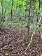 00 Workman Rd, Edmond, WV 25837 - #1
