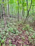 00 Workman Rd, Edmond, WV 25837 - #3