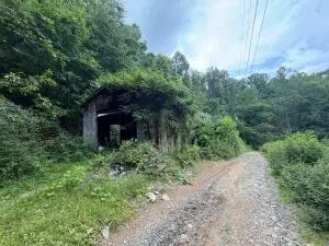 148 Blackberry, Summersville, WV 26651 - #1