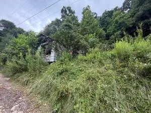 148 Blackberry, Summersville, WV 26651 - #2