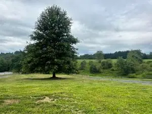 60 Zona, Summersville, WV 26651