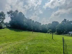 172 Patrick, Oak Hill, WV 25901 - #2