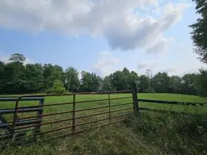 1012 Orndorff Rd, Nettie, WV 26681 - #1