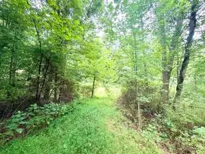 Lansing-edmond Rd, Edmond, WV 25837 - #1