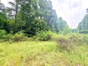 Lansing-edmond Rd, Edmond, WV 25837 - #3