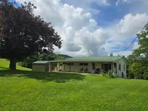 1521 Hominy Falls, Leivasy, WV 26676 - #2