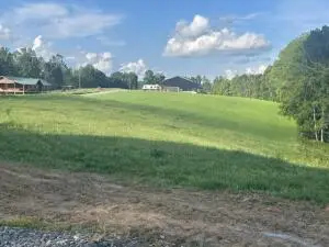 Lot 5 273 Reagan Dr, Mount Nebo, WV 26679 - #1