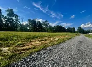 Lot 5 273 Reagan Dr, Mount Nebo, WV 26679 - #2