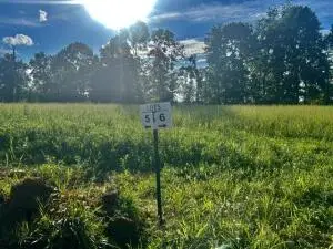 Lot 5 273 Reagan Dr, Mount Nebo, WV 26679 - #3