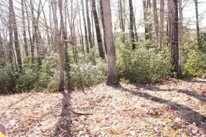 629 River Ridge Ln, Mount Nebo, WV 26679 - #2