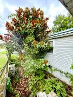 111 Reynolds, Fayetteville, WV 25840 - #2