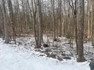 Red Oak Rd, Fayetteville, WV 25840 - #1