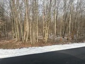 Red Oak Rd, Fayetteville, WV 25840 - #3