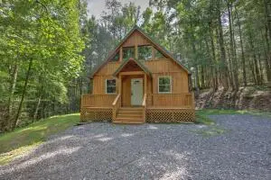 76 Relaxin Ln, Summersville, WV 26651 - #2