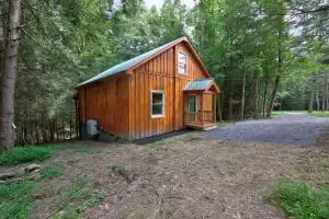 241 Relaxin Ln, Summersville, WV 26651 - #1