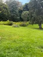 Mccarty St, Richwood, WV 26261 - #2