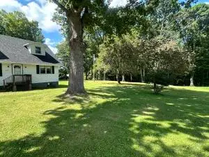 130 Hope, Fenwick, WV 26202 - #2