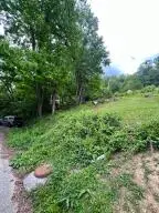 Hill St, Gauley Bridge, WV 25085 - #3