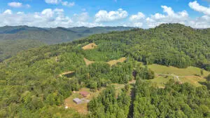 3053 Horseshoe Creek Road, Victor, WV 25938 - #2