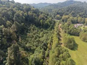 Right Fork Of Keenan, Summersville, WV 26651 - #3