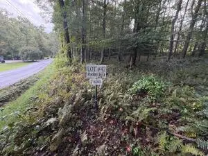 Lot 42 Bright Pond Road, Summersville, WV 26651