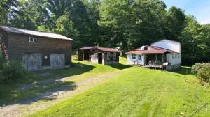1012 1/2 Orndorf Rd, Nettie, WV 26681 - #2