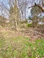 217 Bluestone Rd, Mount Hope, WV 25880 - #3