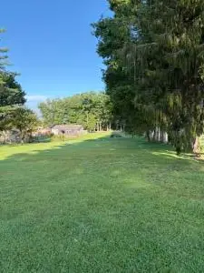 00 Craft Lane, Craigsville, WV 26205 - #1