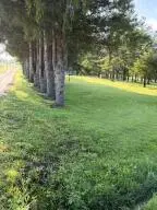00 Craft Lane, Craigsville, WV 26205 - #3