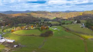 890 Silo Rd, Summersville, WV 26651 - #3