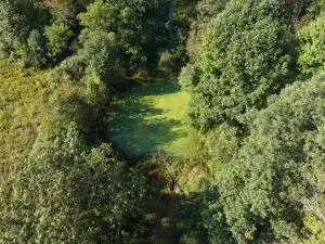 206 Wolf Creek, Fayetteville, WV 25840 - #3