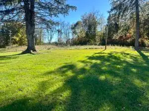17560 Webster Rd, Craigsville, WV 26205 - #3