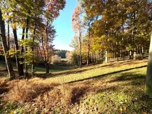 831 Deitz Rd, Mt. Lookout, WV 26678