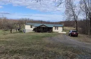 477 Pence Ln, Nallen, WV 26680