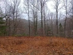 8106 Webster Rd, Camden On Gauley, WV 26208 - #3