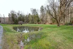 7505 Canvas Nettie Rd, Canvas, WV 26662 - #3