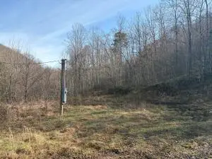 295 Wilmoth Dr, Swiss, WV 26690 - #2