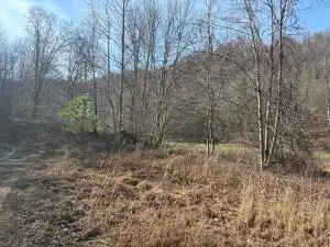 295 Wilmoth Dr, Swiss, WV 26690 - #3