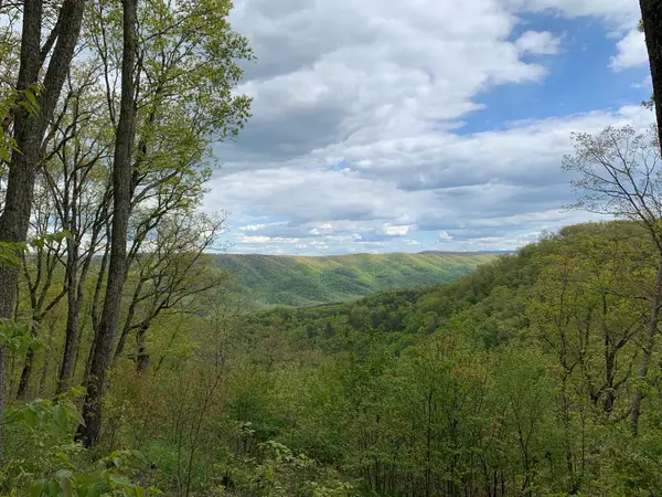 Lot 123 Withrow Landing, The Retreat, Caldwell,  24925