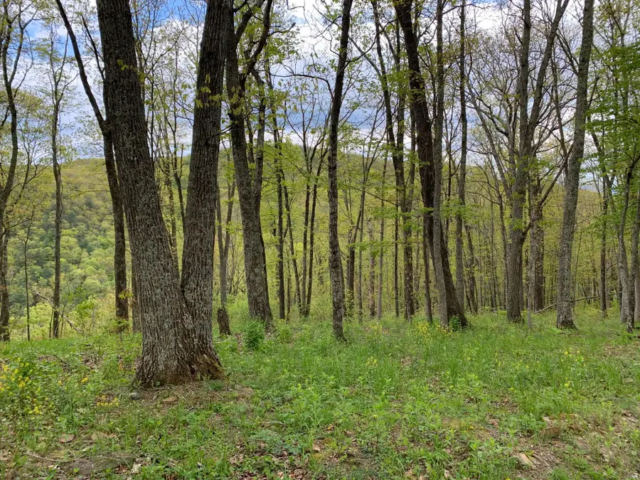 Lot 123 Withrow Landing, The Retreat, Caldwell, WV 24925 - #3