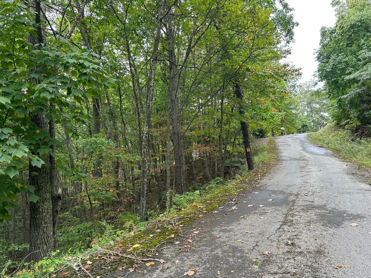 Lot 33 Laurel Lane, The Retreat, Caldwell, WV 24925 - #1