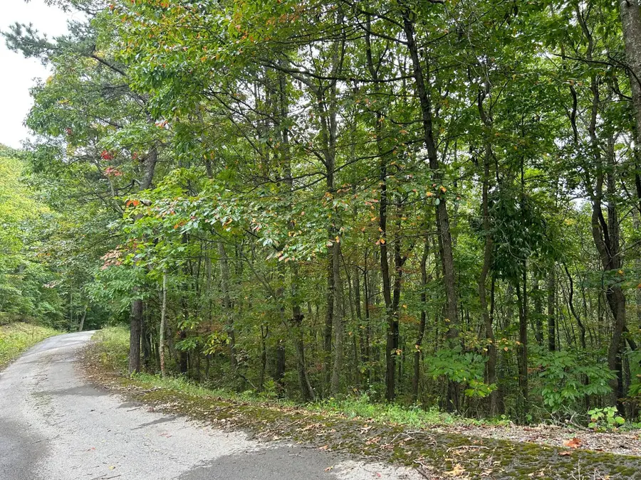 Lot 33 Laurel Lane, The Retreat, Caldwell, WV 24925 - #2