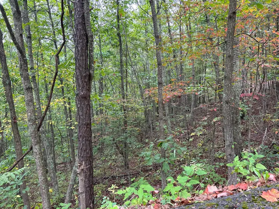 Lot 33 Laurel Lane, The Retreat, Caldwell, WV 24925 - #3