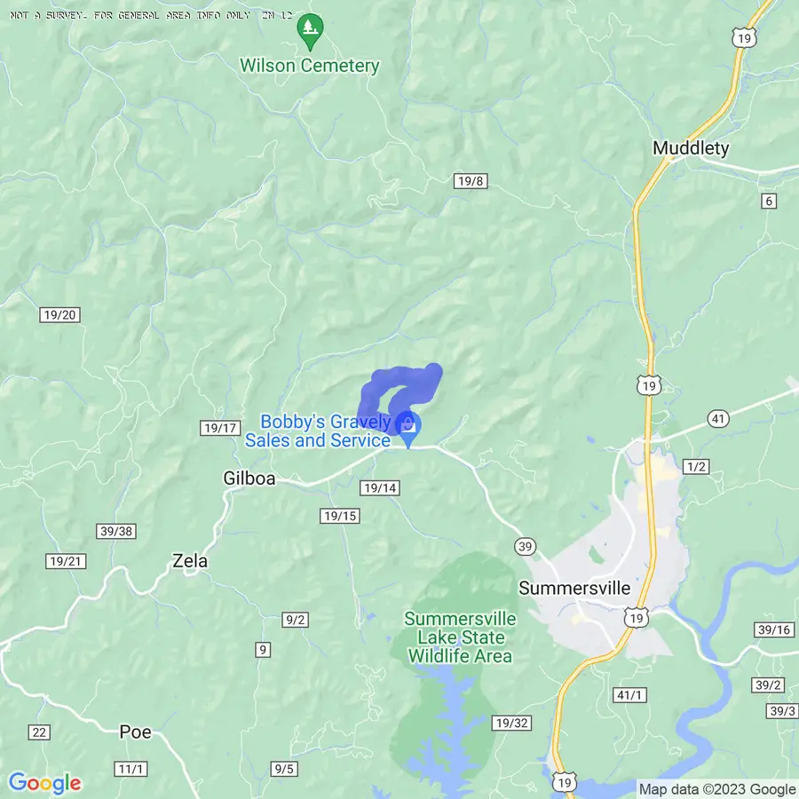 3333 Turnpike Rd, Summersville, WV 26651 - Image #3