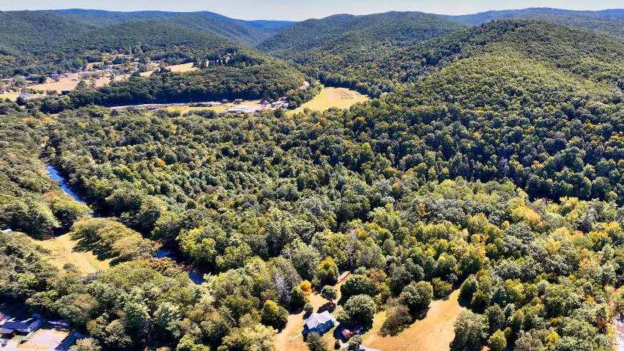 Island Property, Marlinton, WV 24954 - #1