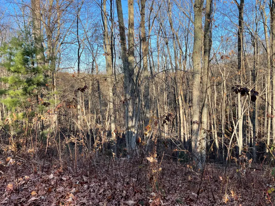 Lot 12 Pipestem Point, Pipestem, WV 25979 - #3