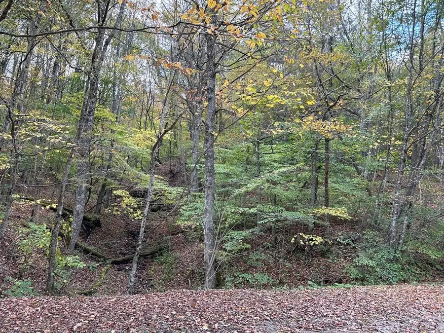 Overlook Dr, Central, WV 26291 - #2