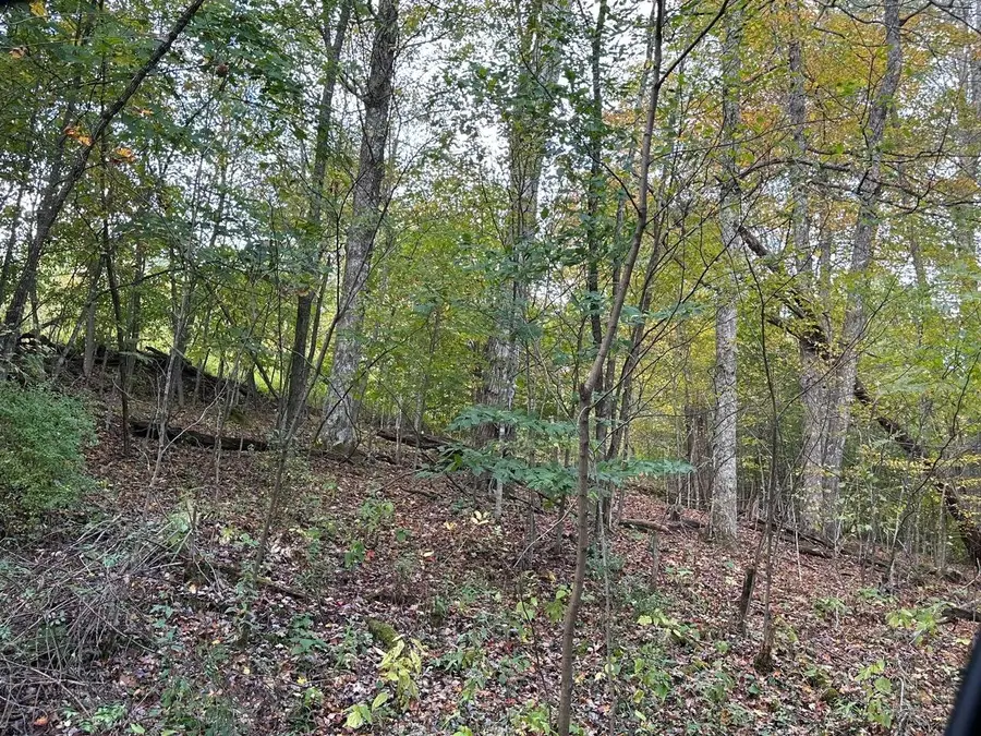 Overlook Dr, Central, WV 26291 - #3