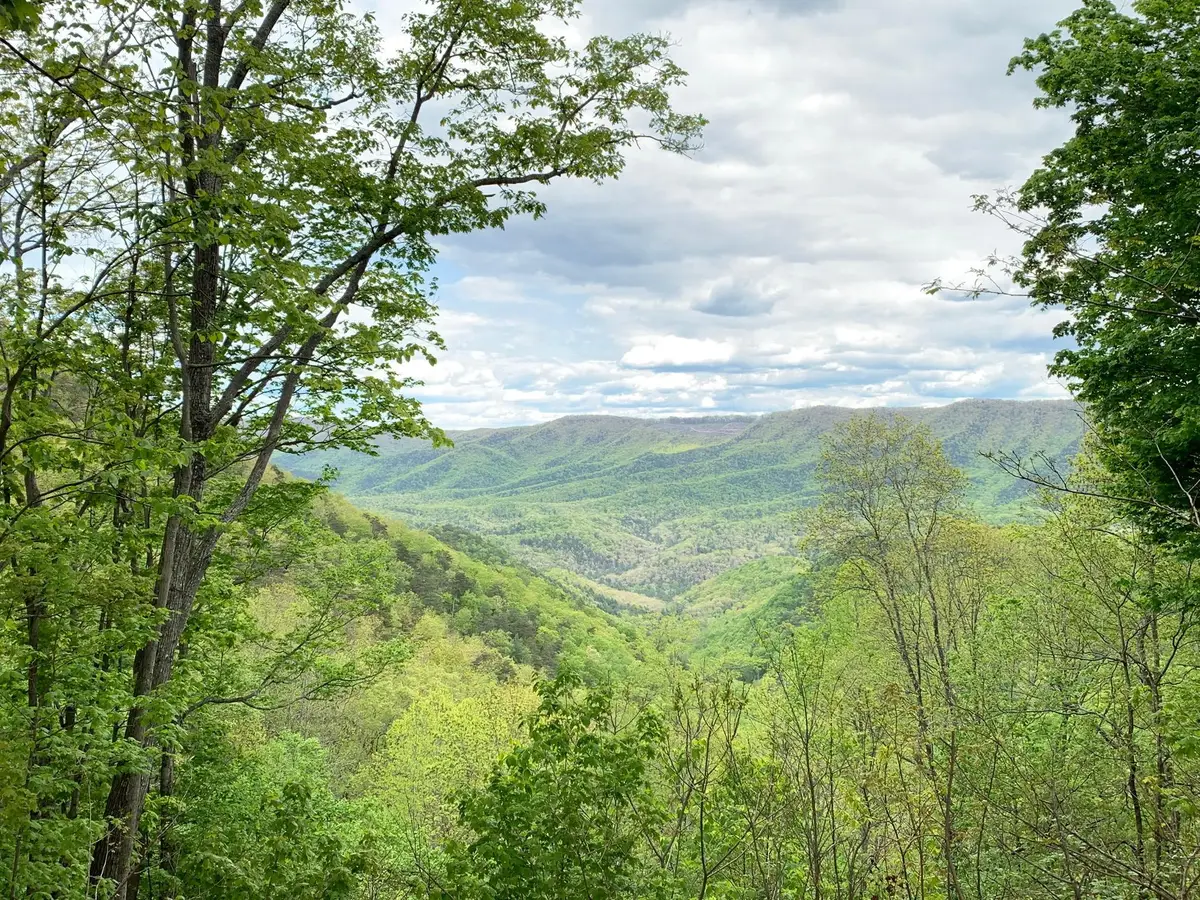 Lot 125 Withrow Landing, Caldwell, WV 24925 - #1